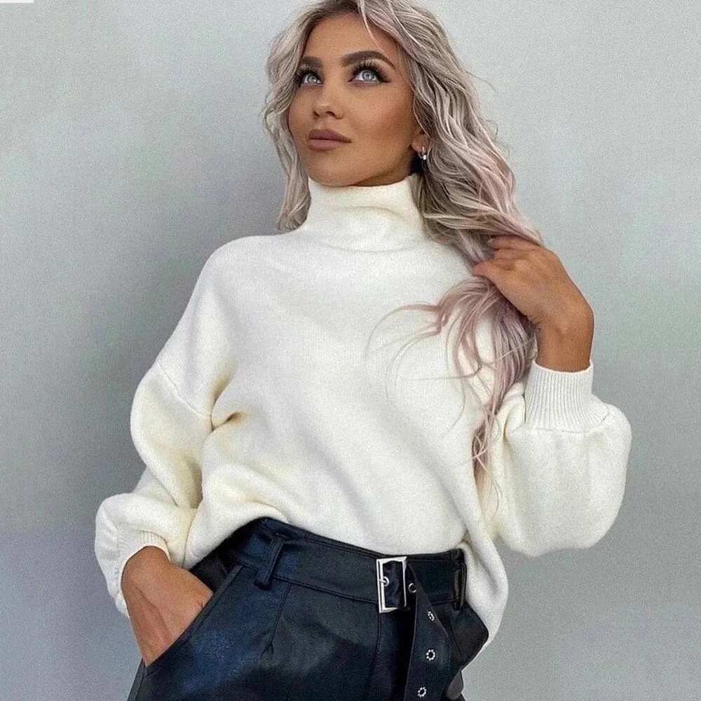 Aimee Long Sleeve Solid Women Sweater