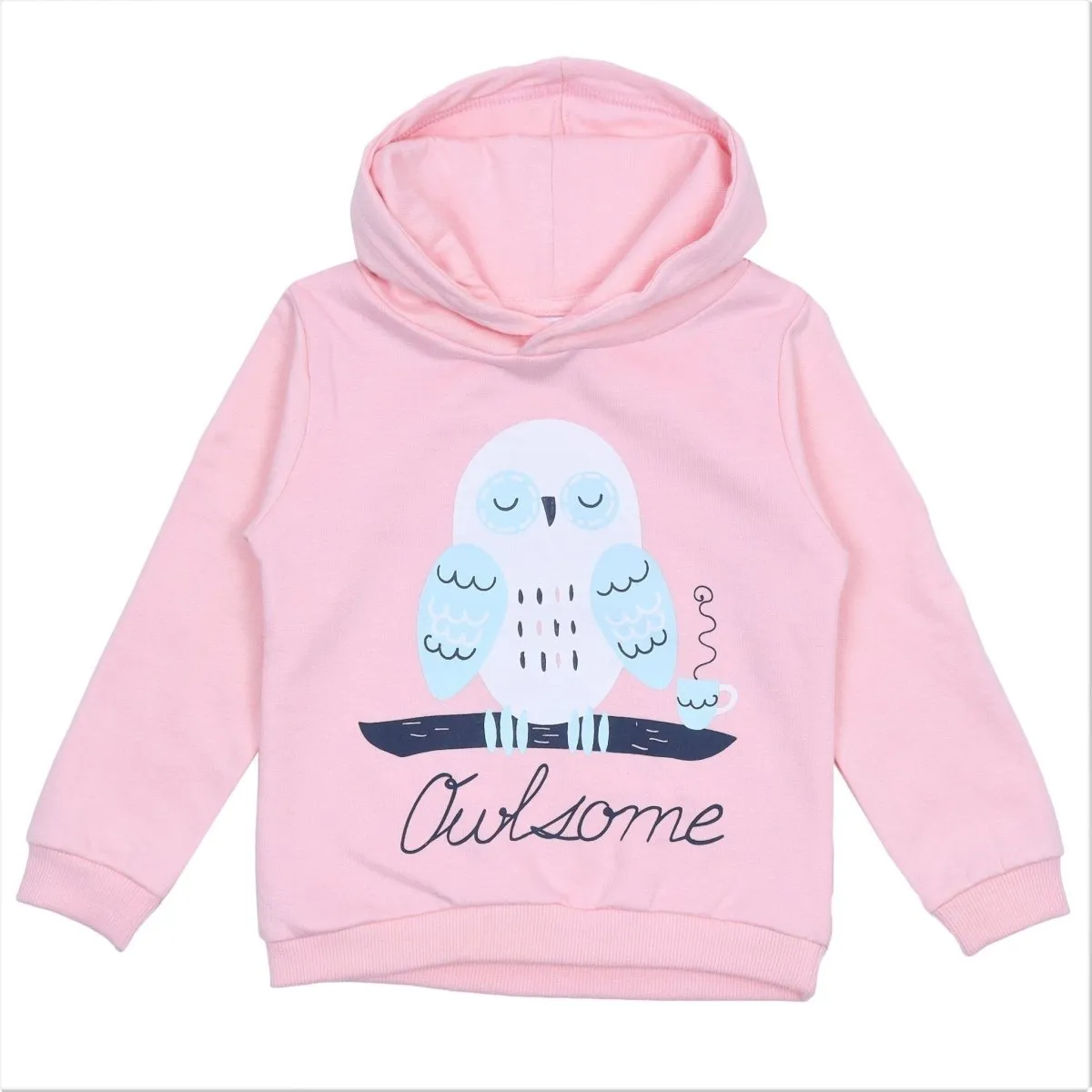 Owlsome Hooded Sweatshirt