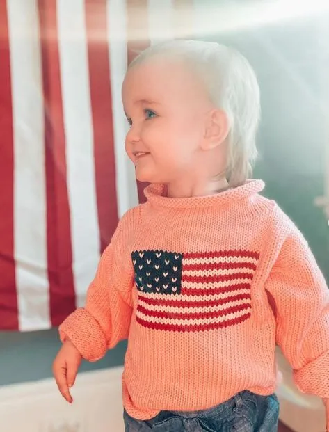 Pink American Flag Roll Neck Sweater