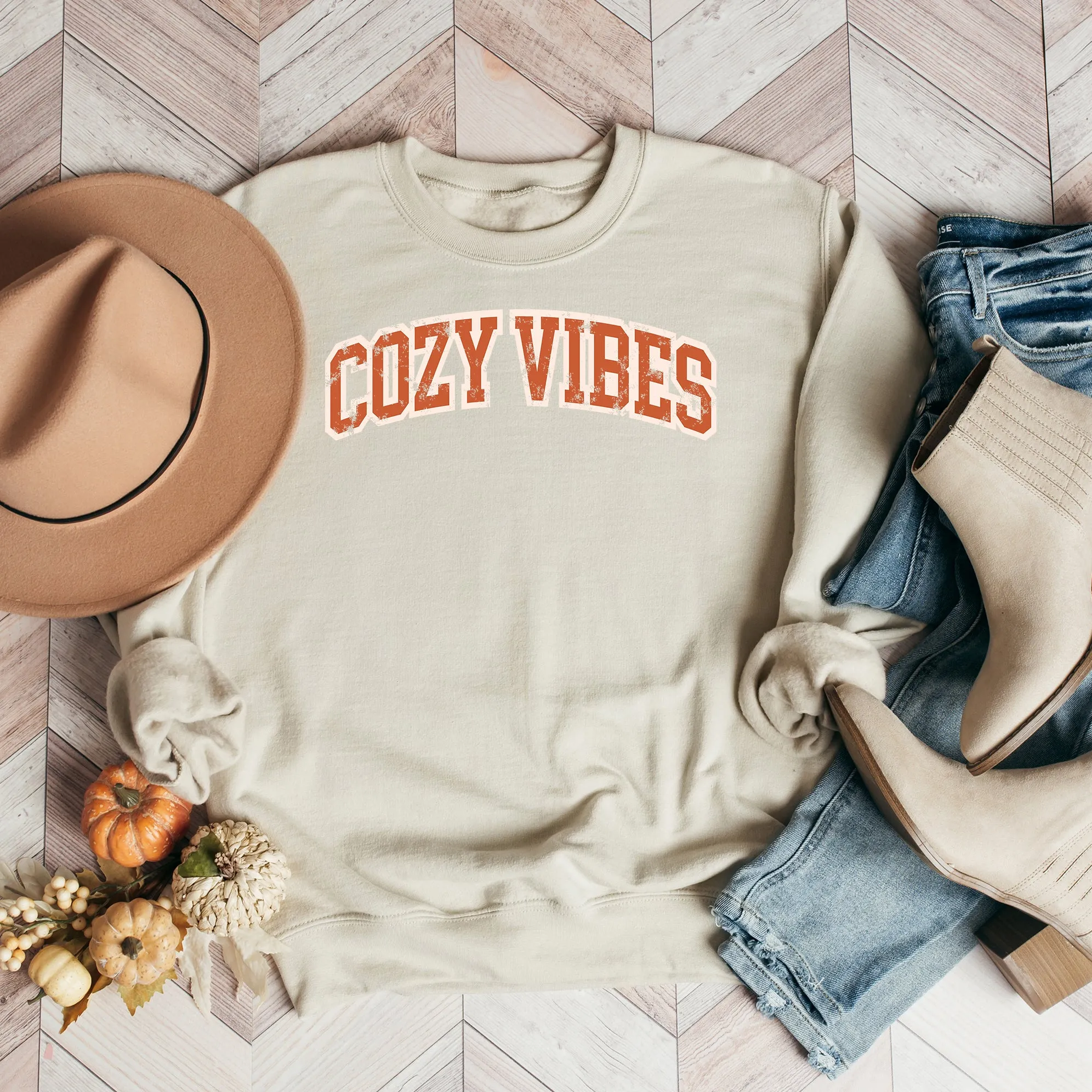 Varsity Cozy Vibes | Sweatshirt